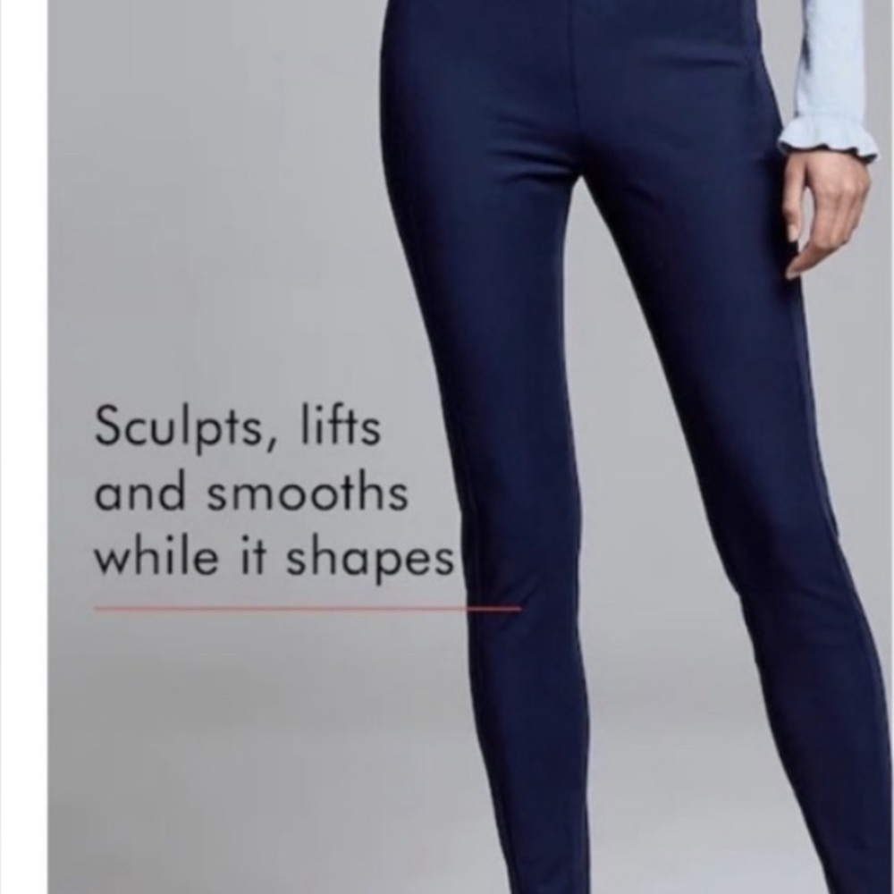 Banana Republic Devon Pants in preppy navy